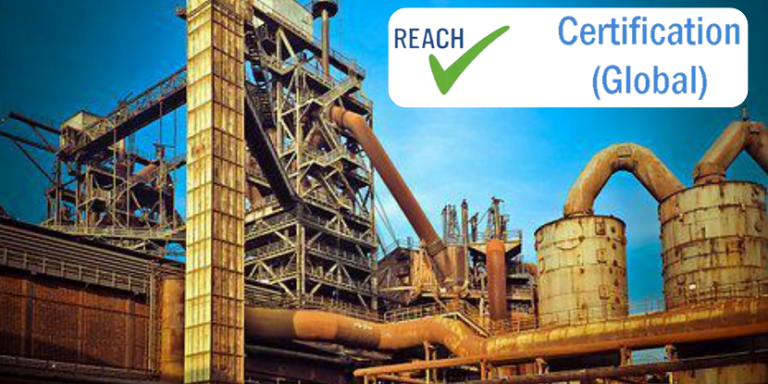 REACH Certification in India