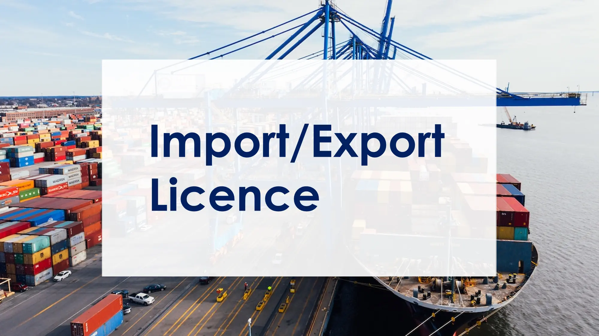 BIS License for Importer/Exporter